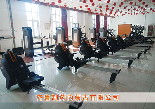 九游娱乐Nineame官方网站體育為?齊魯制藥內蒙古分公司打造健身房